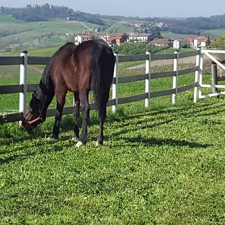 בית חווה Allevamento Pozzol Groppo