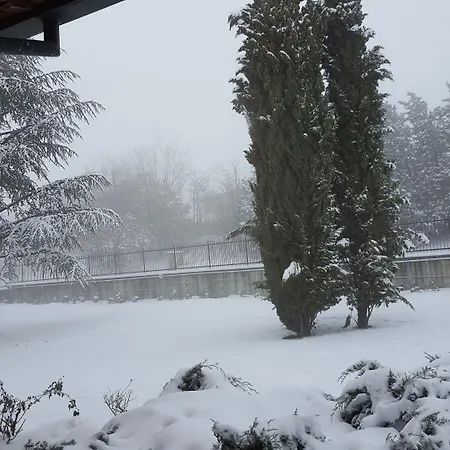 Allevamento * Pozzol Groppo