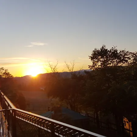 Allevamento * Pozzol Groppo