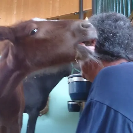 Allevamento Pozzol Groppo