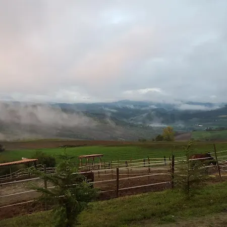 Farm stay Allevamento *