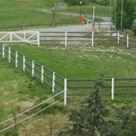 Vakantieboerderij Allevamento *