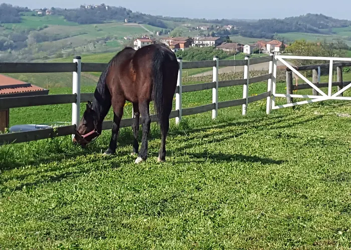 Çiftlik konaklama Allevamento Pozzol Groppo