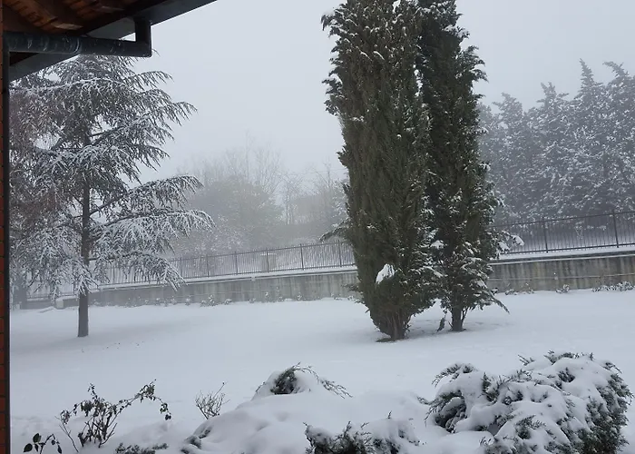 Allevamento * Pozzol Groppo