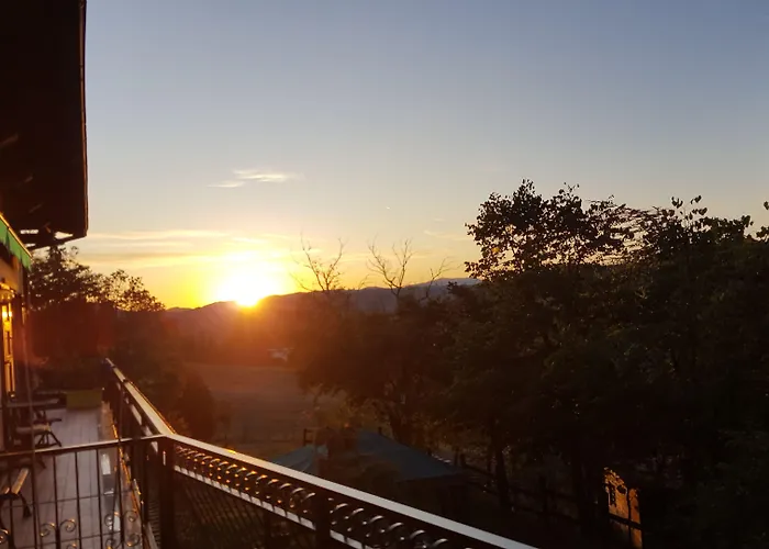 Allevamento * Pozzol Groppo