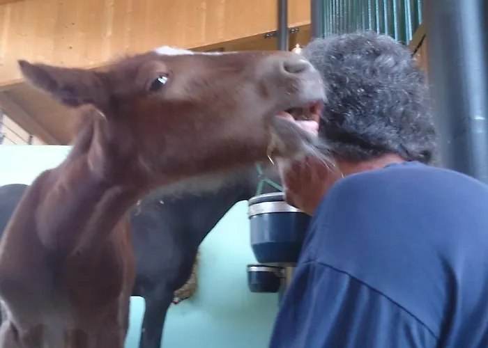 Allevamento Pozzol Groppo