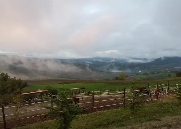 Çiftlik konaklama Allevamento *